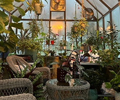 Conservatory 1