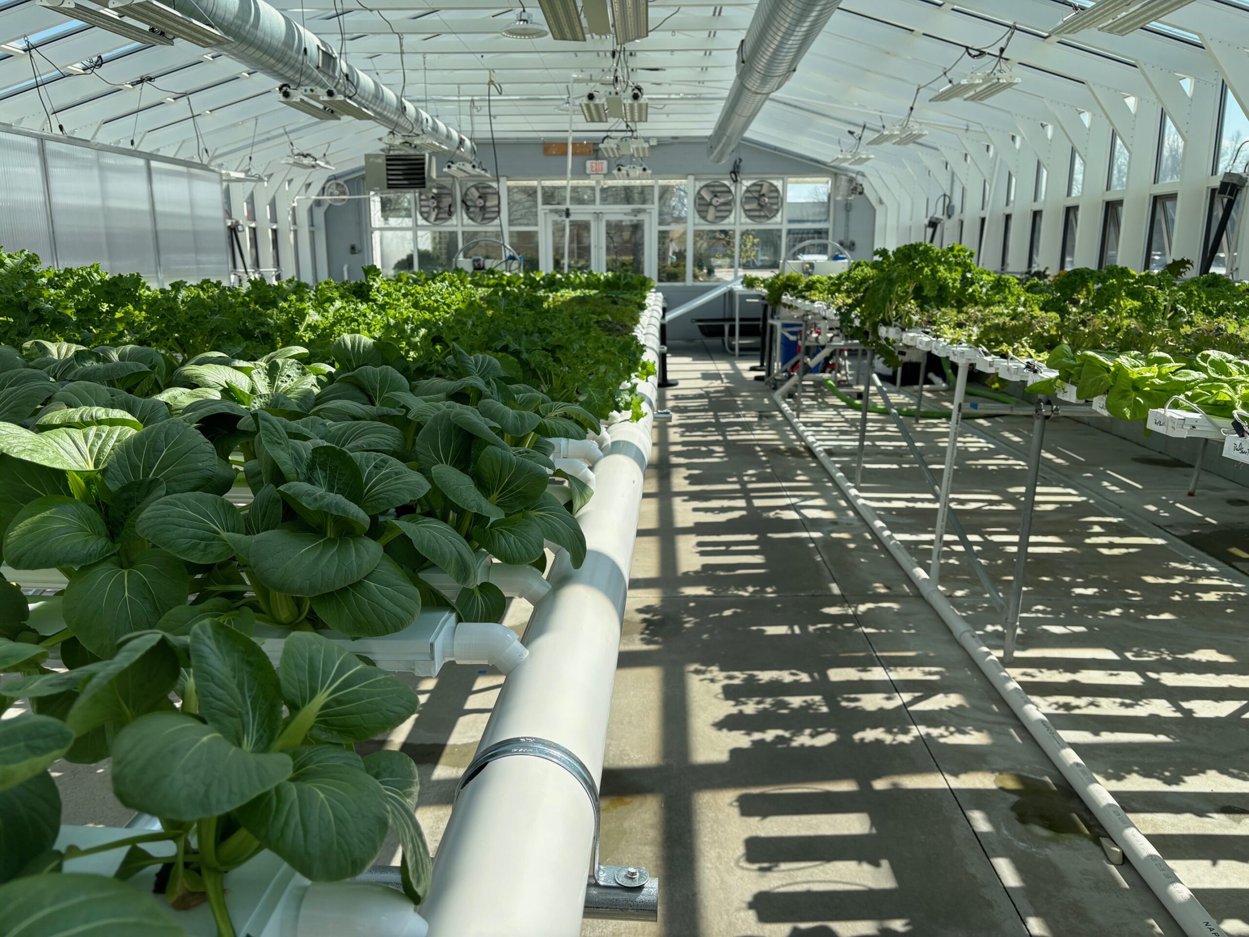 High-tech Greenhouse